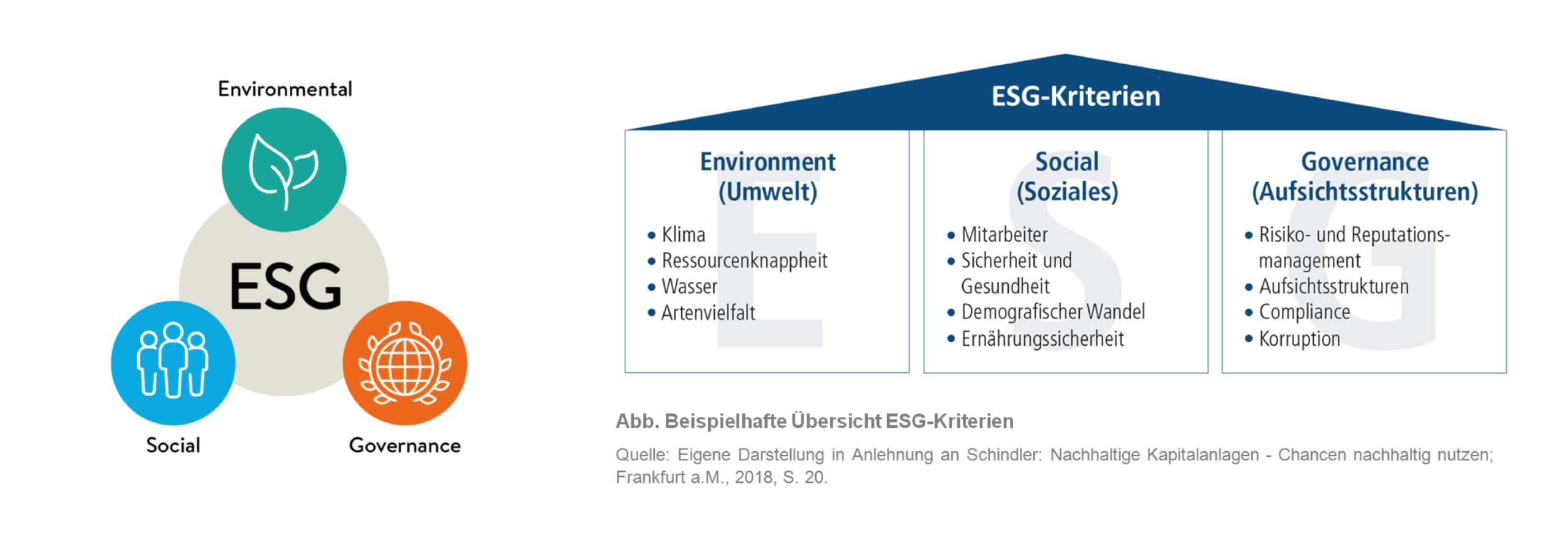 https://cadolino-werbeartikel.ch/wp-content/uploads/2024/02/esg2go-Sustainability-Rating-Tool.png