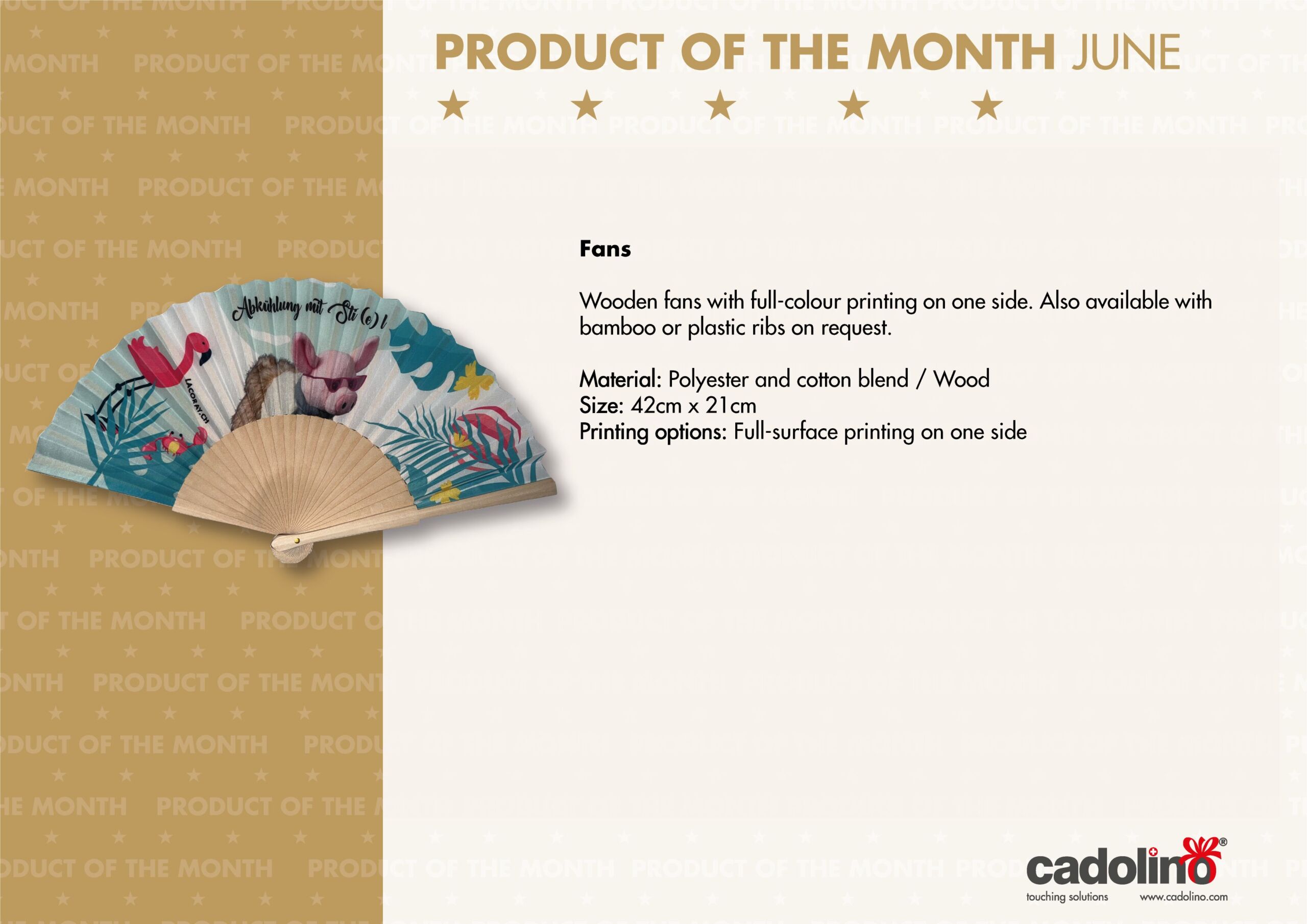 https://cadolino-werbeartikel.ch/wp-content/uploads/2026/06/6.-Product-of-the-month-June-cadolino.jpg