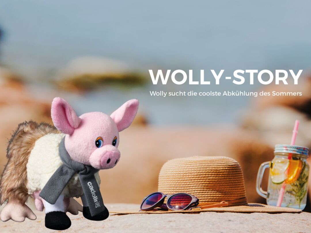 https://cadolino-werbeartikel.ch/wp-content/uploads/2026/06/Titelbild-NLWolly-sucht-die-coolste-Abkuehlung-des-Sommers-2-1080x810.jpg
